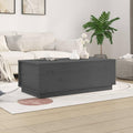 Table basse gris robuste 100 x 50 x 35 cm